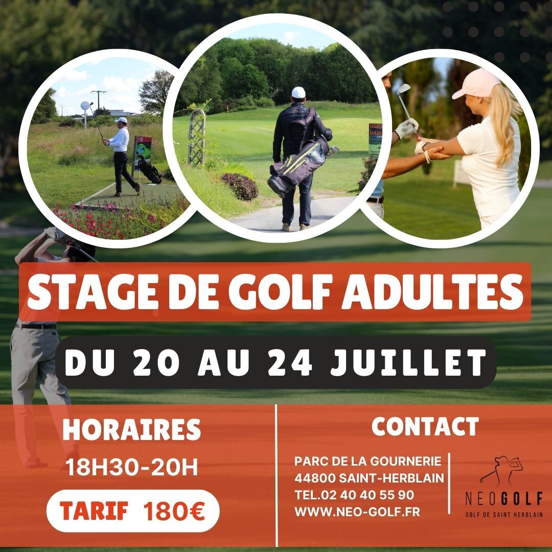 stage adultes juillet 2026